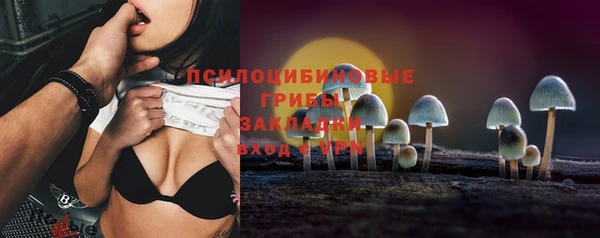 гидра Зеленокумск