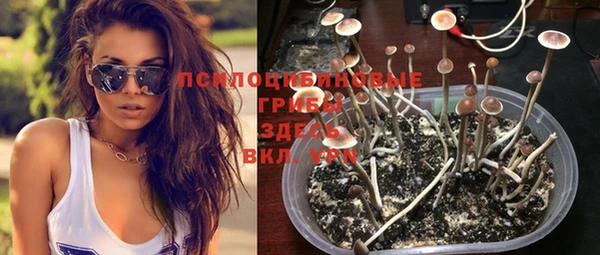гидра Зеленокумск
