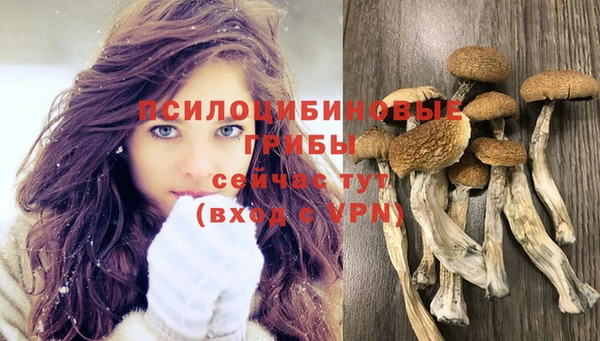 меф Зеленодольск
