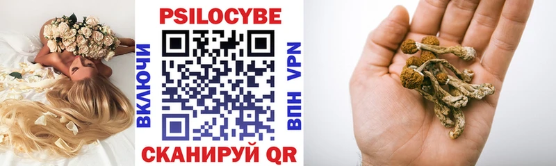 Псилоцибиновые грибы Psilocybine cubensis  Юрюзань 